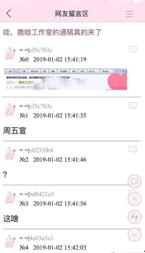 娱乐圈爆料标题,揭秘明星背后的惊人真相！  第1张